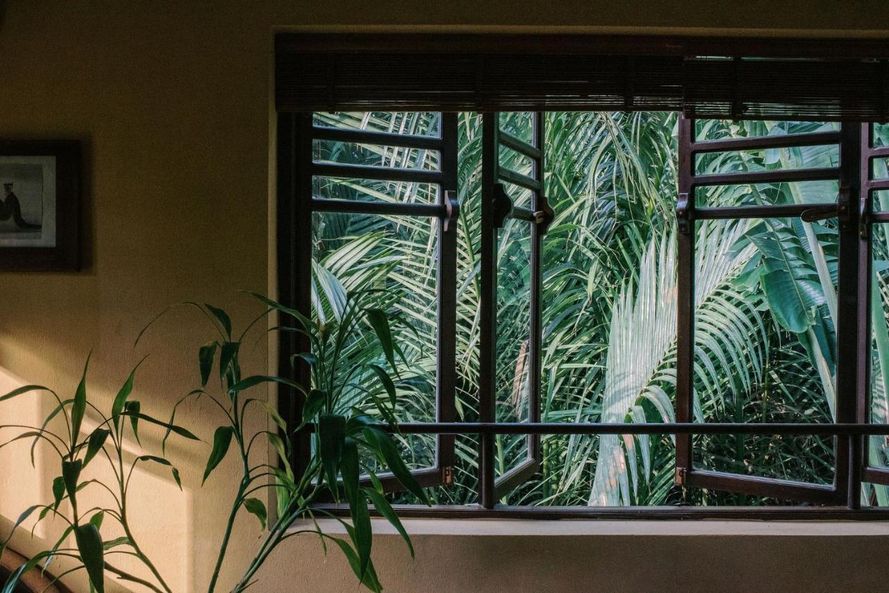 Studio Terrace