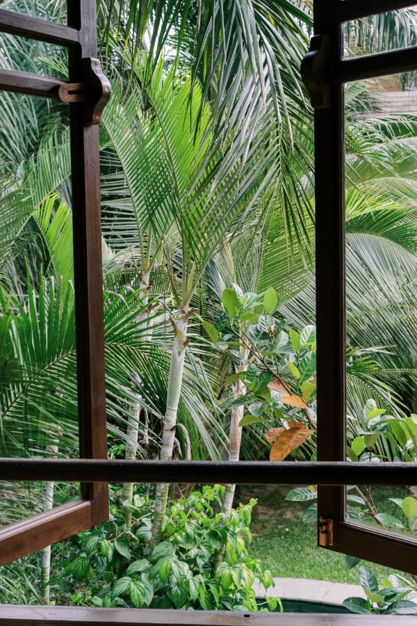 Studio Terrace