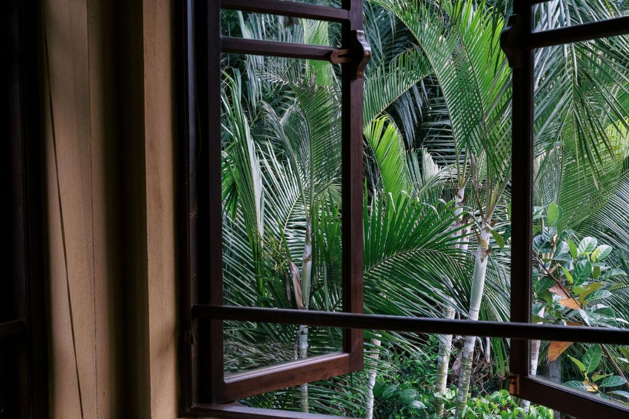 Studio Terrace